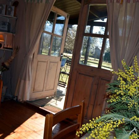Gite Foret Landaise Sainte-Eulalie-en-Born 外观 照片