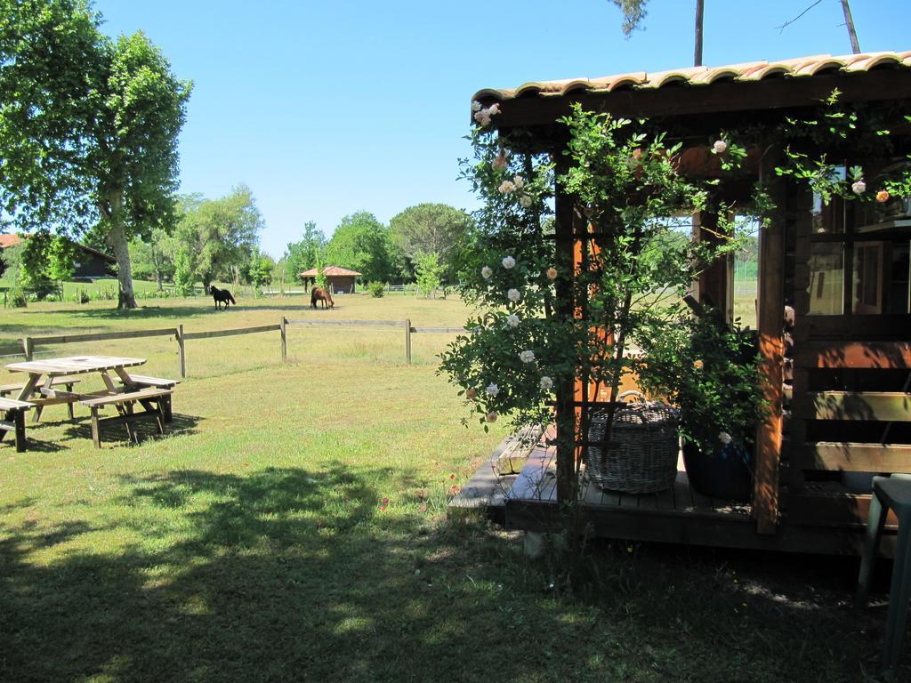 Gite Foret Landaise Sainte-Eulalie-en-Born 外观 照片