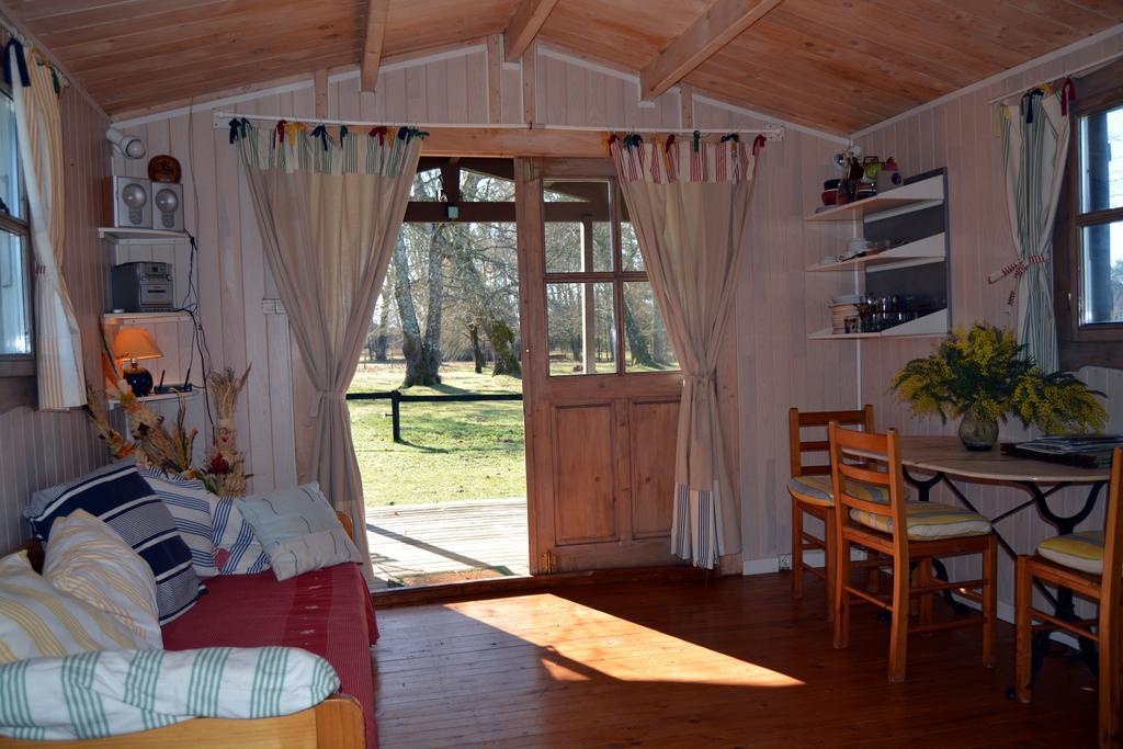Gite Foret Landaise Sainte-Eulalie-en-Born 外观 照片