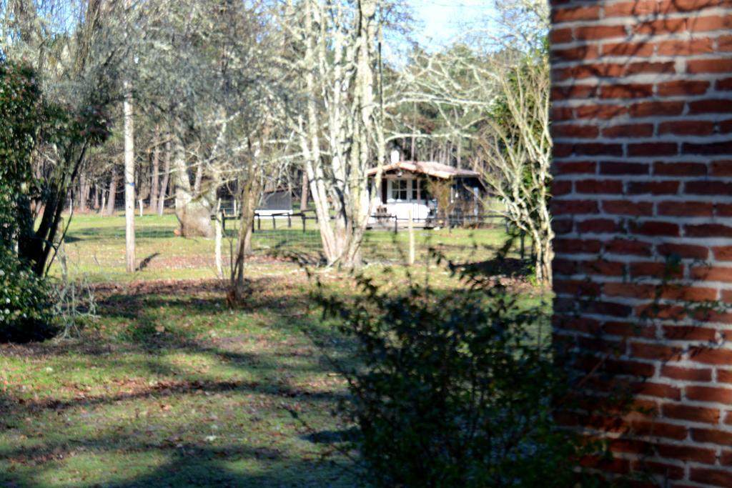 Gite Foret Landaise Sainte-Eulalie-en-Born 外观 照片